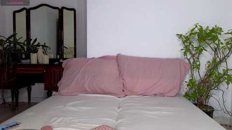 Media: sellena_love Stripchat 2024-09-25 02:00:00