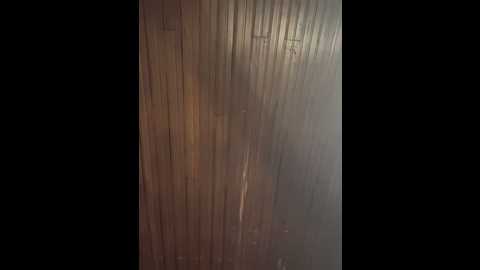 Media: amy_litt Stripchat 2024-09-26 04:11:00