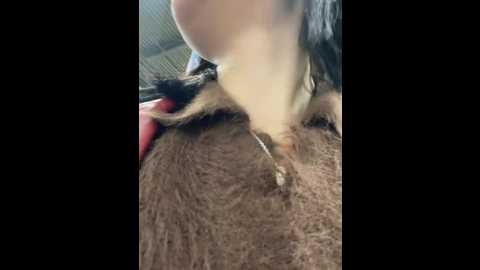 Media: melissa_crazy Stripchat 2024-09-26 19:29:00