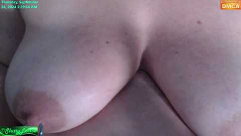 misschiennelilou @ stripchat on 20240926