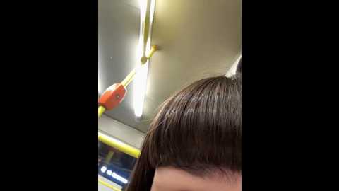 Media: sophie_avory Stripchat 2024-09-26 19:20:00