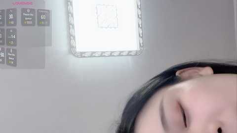 Media: kittyrecalls Stripchat 2024-09-28 08:01:00