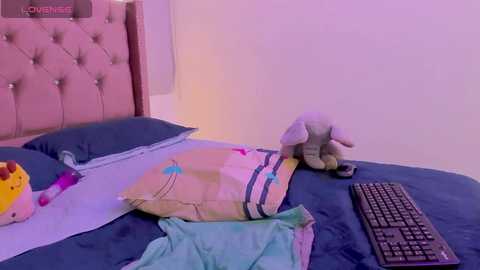 Media: lauu_ruizz Stripchat 2024-09-28 00:49:00