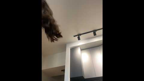 Media: curvyflawless Stripchat 2024-09-29 13:51:00