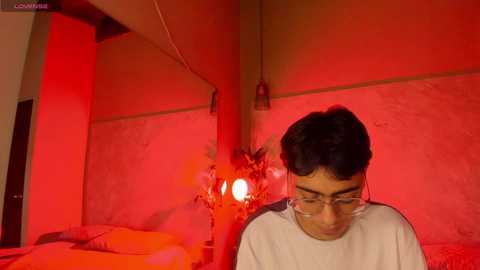 abby_chad @ stripchat on 20241001