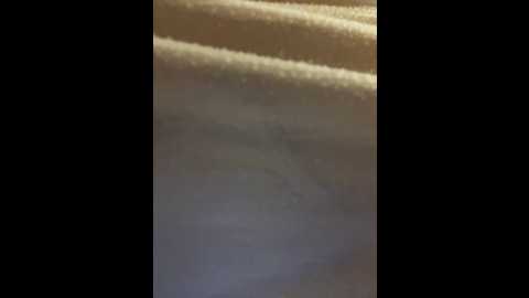 Media: didihairypussy Stripchat 2024-10-01 15:02:00