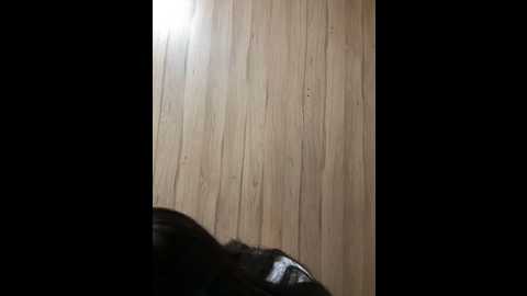 Media: wet__bunny Stripchat 2024-10-01 11:51:00