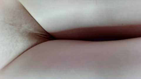 katrin022 @ stripchat on 20241002
