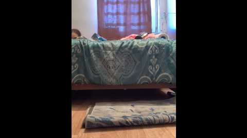 Media: zasmin324 Stripchat 2024-10-02 06:28:00
