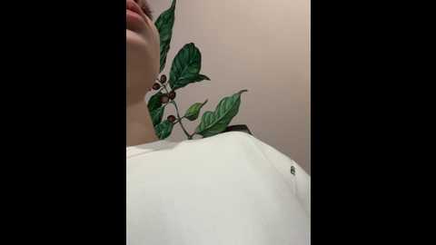 Media: caseystar Stripchat 2024-10-03 05:36:00