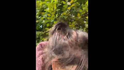Media: lenas_secret7 Stripchat 2024-10-03 11:16:00