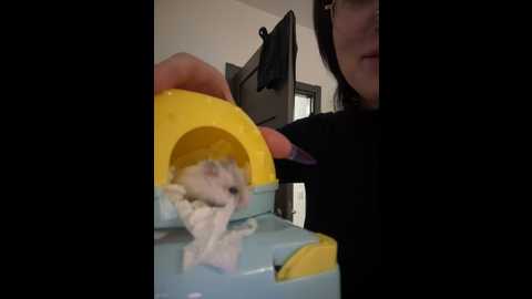 Media: meow_girl Stripchat 2024-10-03 00:11:00