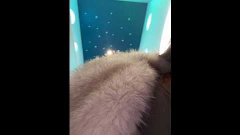 Media: cherry____pie Stripchat 2024-10-04 16:48:00