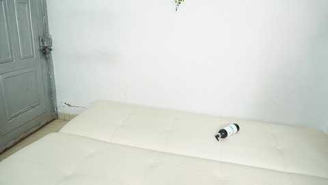Media: maidengirls Stripchat 2024-10-04 20:17:00