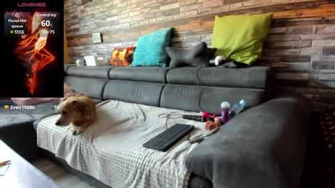 sexysusie77 @ stripchat on 20241004