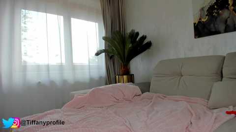 Media: tiffanyhouston_ Stripchat 2024-10-04 09:17:00
