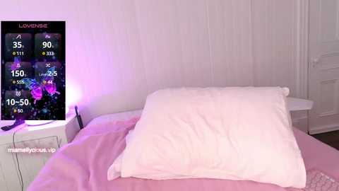 Media: miamellycious Stripchat 2024-10-05 05:23:00