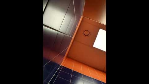 Media: morphine_666 Stripchat 2024-10-05 08:39:00