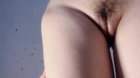 Media: krismil3 Stripchat 2024-10-06 02:42:00