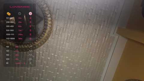 Media: orla86 Stripchat 2024-10-06 03:30:00