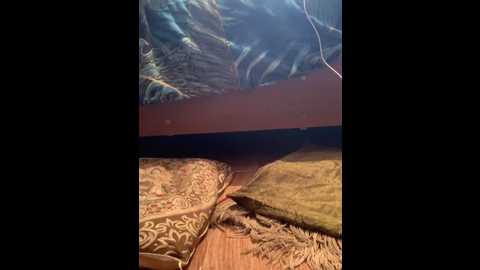 Media: zasmin324 Stripchat 2024-10-07 01:29:00