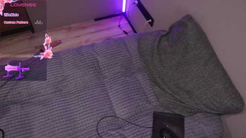 _eelusivee_ @ stripchat on 20241008