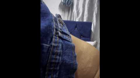Media: bonnie_williams6554 Stripchat 2024-10-08 05:36:00