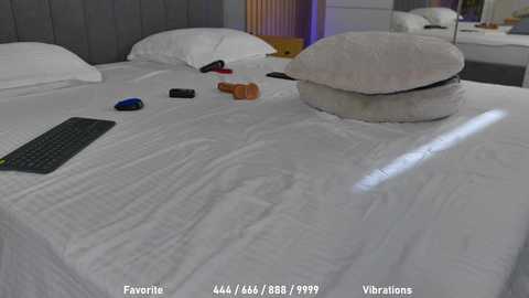 Media: celestara Stripchat 2024-10-08 13:25:00