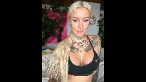 Media: stella_kink Stripchat 2024-10-08 09:26:00