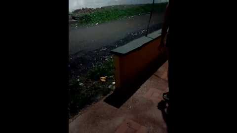 brendathenahomy @ stripchat on 20241009