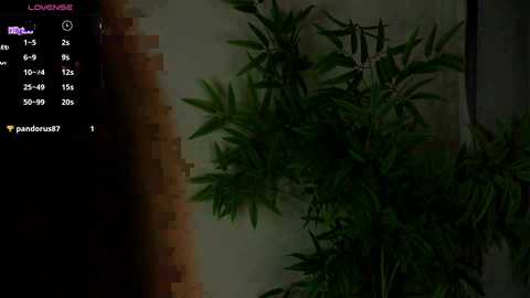 Media: karinbates Stripchat 2024-10-09 13:42:00