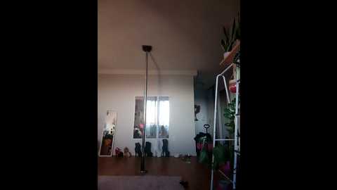 lucidlucy @ stripchat on 20241009