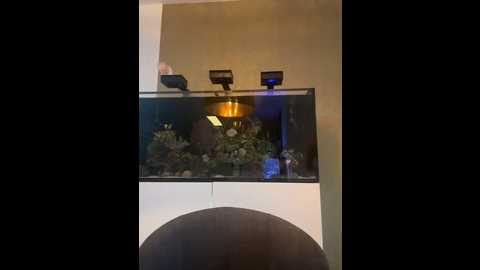 Media: newmichelle Stripchat 2024-10-09 07:01:00