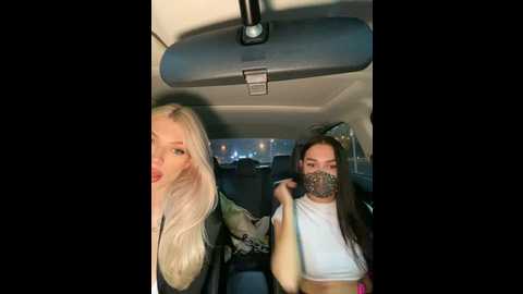 shybabyss @ stripchat on 20241009