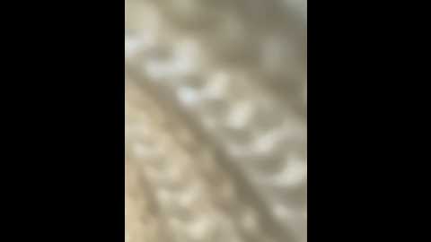 Media: caseystar Stripchat 2024-10-10 05:59:00