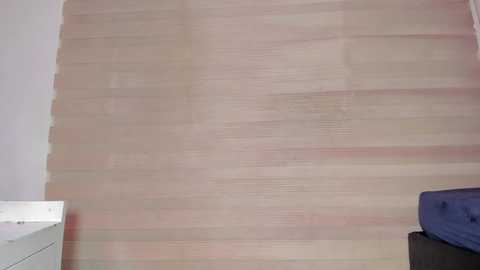Media: enjoy_hotparty Stripchat 2024-10-10 22:01:00