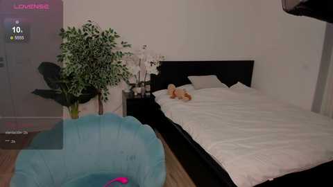 Media: nicole_youthfull Stripchat 2024-10-10 20:58:00