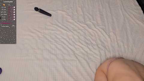 elvinacrust @ stripchat on 20241011