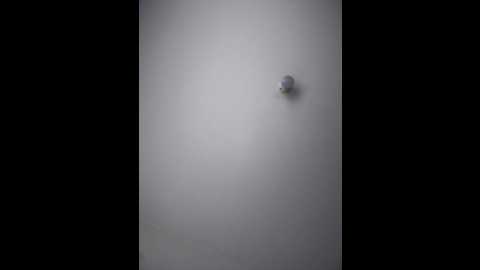 Media: horny_roomiess Stripchat 2024-10-11 17:32:00
