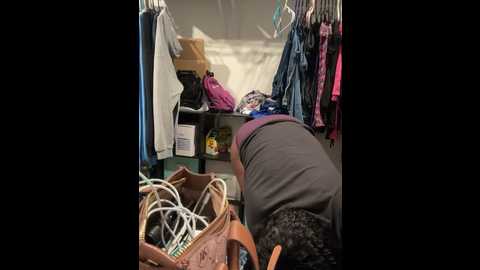 zadaraye @ stripchat on 20241011