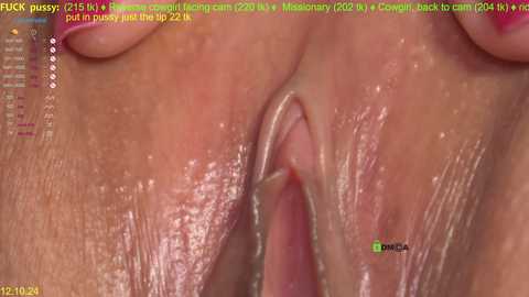 Media: helena_play Stripchat 2024-10-12 19:47:00