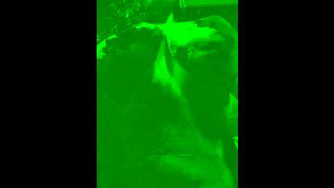 Media: hot_rose83 Stripchat 2024-10-12 03:19:00