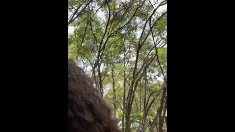 Media: kitty_and_roman Stripchat 2024-10-12 17:59:00