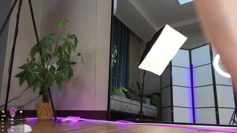 Media: marry_cordy Stripchat 2024-10-12 14:53:00