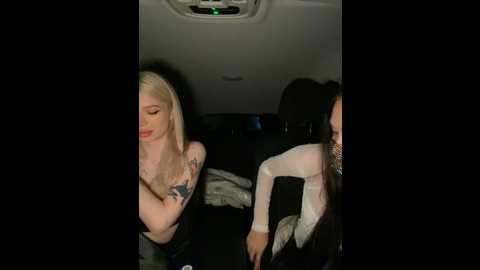 shybabyss @ stripchat on 20241012