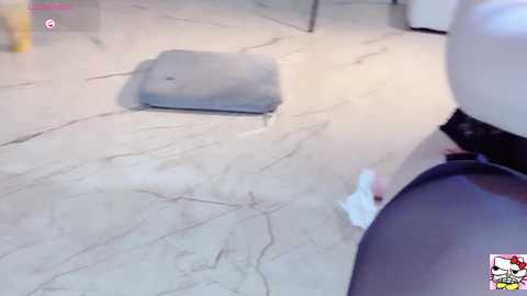 Media: hahaha_ha2 Stripchat 2024-10-13 17:30:00