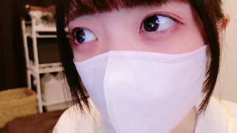 Media: irohani_usagi Stripchat 2024-10-13 15:55:00