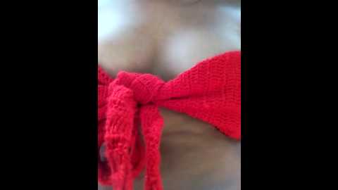 niels_doll @ stripchat on 20241013