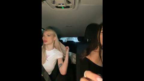 shybabyss @ stripchat on 20241013