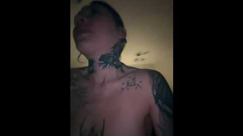 future_star @ stripchat on 20241014